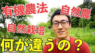 有機農法・自然農・自然栽培の違いってなに？ドイツで有機農法を学んで気付かされた農法よりも大切なこと