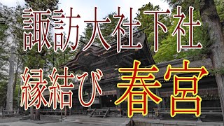 下諏訪町に鎮座する【諏訪大社春宮】です