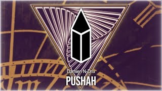 Damien N-Drix - Pushah