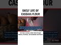 shelf life of cassava flour