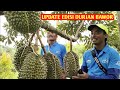 Cek kusus durian bawor kebun durian joglo AW ✔️