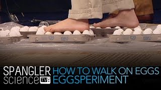 How to Walk on Eggs Eggsperiment - Cool Science Experiment