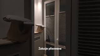 Żaluzje plisowane -Plisy