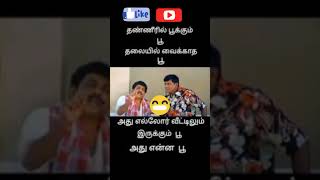 அது என்ன பூ🤣🤣#trendingcomedy#comedyviral#viralcomedy