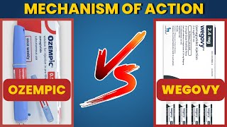 The Hidden Power of Semaglutide Mechanism of Action| Ozempic | WeGovy