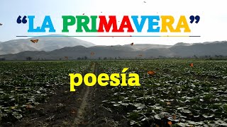 poesia para el dia de la primavera