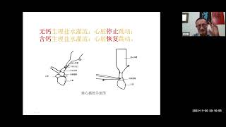 《CVAC健康讲堂》【大众公益讲座】2023-11-30志愿者活动 (part I)