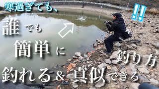 【真冬のバス釣り】釣れない時にぜひやってみてほしい釣り。冬の貴重な一匹を釣る事ができる釣り方！ RAIDJAPAN レイドジャパン　バイブレーション　動きアクション 使い方　PEライン　バス釣り初心者