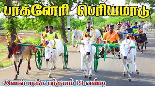 சிவகங்கை மாவட்டம் பாகனேரி-பெரியமாடு-பந்தயம்_14.06.2024