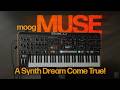 Moog Muse 8 Voice Poly Synth Review: Arpeggiator, Sequencer & Stereo Panning Features Explained