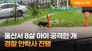 울산서 8살 아이 공격한 개…경찰 안락사 진행 / 연합뉴스TV (YonhapnewsTV)