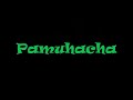 PAMUHACHA