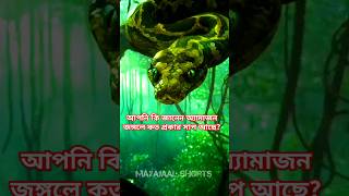 আপনি কি জানেন অ্যামাজন জঙ্গলে কত প্রকার সাপ আছে? 😲