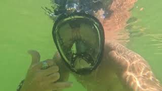 Snorkeling on Sanibel Island and swimming with dolphins