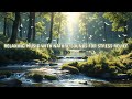 RELAXING MUSIC WITH NATURE SOUNDS FOR STRESS RELIEF