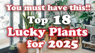 Lucky Plants 2025 - Health, Wealth & Prosperity