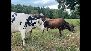 Michigan Farms and Agriculture