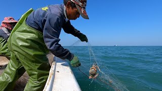 阿雄今天到外海，浮标不见渔网被偷，梭子蟹也没捉上来，损失惨重