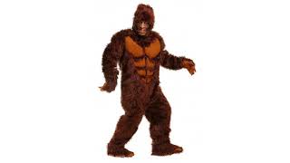 Halloween Costume Reviews! California Costumes Men's Adult-Gorilla, Black, Standard Costume