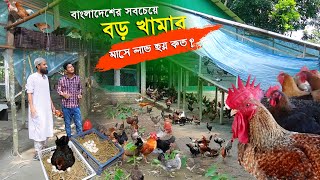 বাংলাদেশের সবচেয়ে বড় দেশি মুরগির খামার মাসে আয় করে কত ? - Desi murgi Palan || কৃষি ঘর