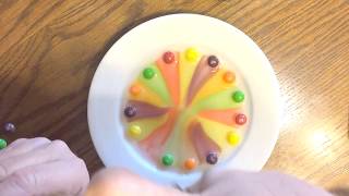 Skittles Science Experiment (How do you make Skittles experiment?)