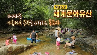 세계의 보물 \