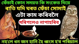 ফেঁচা চৰাই ঘৰত সোমালে কি বিপদ আহে। ফেচা চৰায়ে এই সংকেট দিলে ভয়ংকৰ বিপদ আহে। Indian astrology.