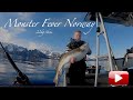 Skrei-cod fishing Norway. With Nordic Sea Angling. !BIG HALIBUT WARNING!