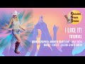 I Like It! - Line Dance Tutorial
