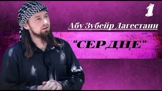 Абу Зубейр Дагестани Урок \