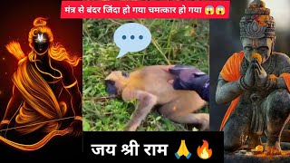 मंत्र बोलते ही accident हुआ बंदर जिंदा हो गया 🙏🔥 | Jai Shree Ram🙏| भगवाँन के मंत्र से चमत्कार हो गया