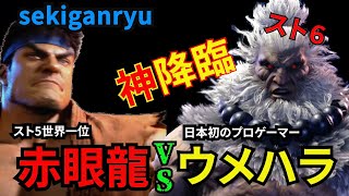 SF 赤眼龍（リュウ）vsウメハラ（豪鬼）【スト6】【sekiganryu】【赤眼龍】【ウメハラ】【スト5元世界No1リュウ】【リュウ】