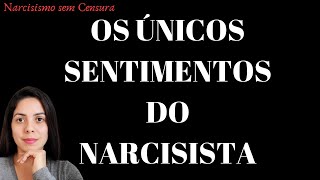 CONHEÇA OS ÚNICOS 5 SENTIMENTOS DO NARCISISTA | Quem te Roubou de Você?