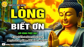 Phật Dạy: Lòng Biết Ơn – Chìa Khóa Mở Cánh Cửa Hạnh Phúc