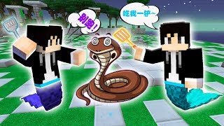 Minecraft 木鱼我的世界，震惊！两只美人鱼用锅铲玩蛇