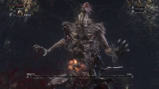 Bloodborne®_レベル4縛り 深きトゥメル4層　獣血の主