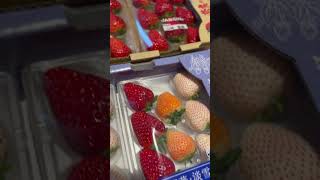 日本草莓古都華\u0026淡雪 哪個好吃 私心覺得紅色的還是比較好吃🍓 #日本 #旅遊 #草莓 #strawberry #fruit #japan #travel #shorts