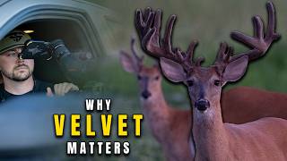 Most Hunters IGNORE Velvet Whitetails | Do This Instead