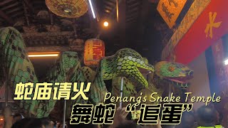 春节槟城蛇庙请火舞蛇“追蛋” Penang's Snake Temple【my】