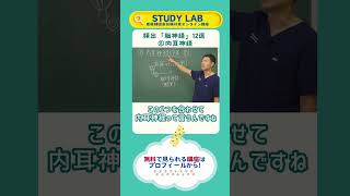 脳神経12選「⑧内耳神経」看護師国家試験対策 オンライン講座｜STUDY LAB #看護学生 #看護師国家試験 #看護師 #脳神経 #第114回看護師国家試験