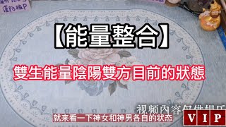 【能量整合】雙生能量陰陽雙方目前的狀態 #塔羅測驗 #星座 #愛情 #感情#情感