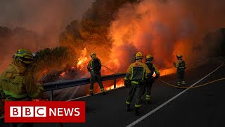 UK firefighters battle wildfires as extreme heat bakes Western Europe - BBC News