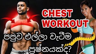 BEST "UPPER CHEST" EXERCISES | At Home | SINHALA.