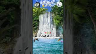 Peer Ajmal Raza Qadri Emotional Bayan Status🕋Islamic Bayan Whatsapp Status🕌#islamic📿#2022❣️#shorts