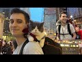 World’s Chillest Cat Spreads Joy around the Big City