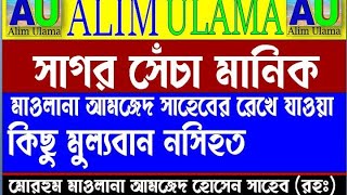 সাগর সেঁচা মানিক...কিছু মূল্যবান নসিহত // মরহুম মাওলানা আমজেদ হোসেন (রহঃ) Maolana Amjed Hosen (ro: )