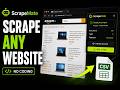 Scrape Any Website Without Coding | Free Chrome Extension