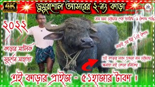 ডুমুরশোল আসরের ২নং কাড়ার শেষ আপডেট । ডুমুরশোল কাড়া লড়াই ।