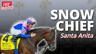 Snow Chief Stakes Preview @ Santa Anita | DRF Saturday ROTD
