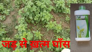 Agil | ADAMA Agil | Agil Herbicide | एजिल खरपतवार नाशक दवाई का उपयोग कैसे करें |